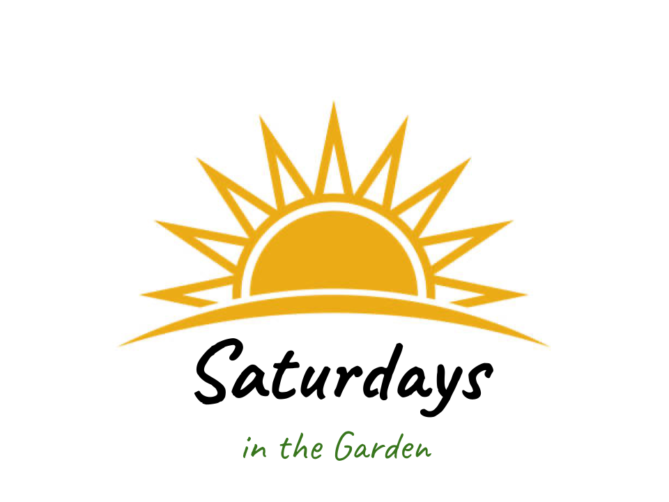 Saturdays in the Garden